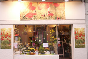 PAVOTS ET COQUELICOTS