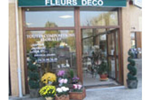 FLEURS DE VIGNE