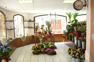 LE JARDIN FEERIQUE