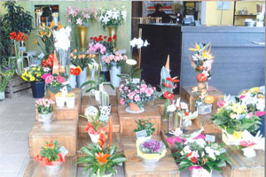 LES FLEURS D ELINA