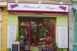 FLEURS D ANGES