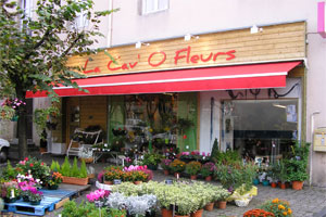 LA CAV  O FLEURS