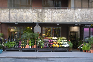 LE 20 EME ART FLEURS