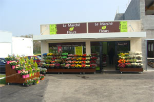 LE MARCHE Ô FLEURS 