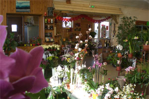 LA JARDINE 