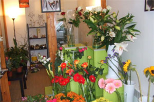 DÉSIRS DE FLEURS 