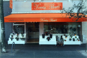 KERRIA FLEURS