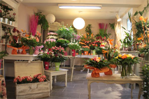 FLEURS D ETOILES