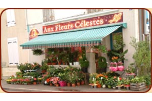 AUX FLEURS CELESTES