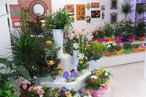 LEVALLET FLEURS