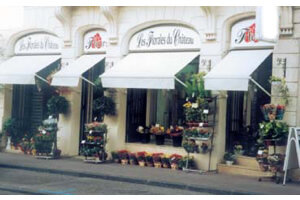 FLEURS DES CHAMPS