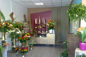 PHINE FLEUR