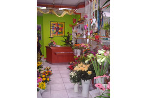 L ORCHIDEE