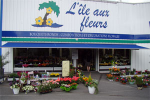 L ILE AUX FLEURS