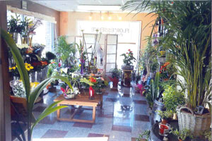 FLOR ESSENCE