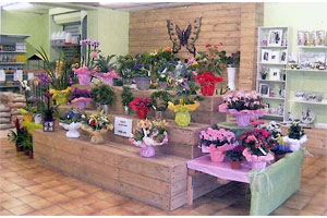 LE JARDIN DES FEES