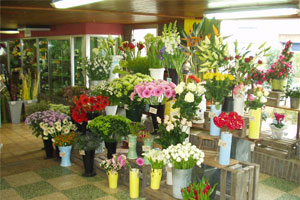 EDEN FLEURS