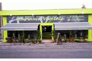 AMBIANCE VEGETALE