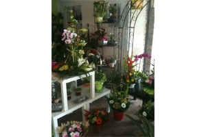 ECRIN DE VERDURE