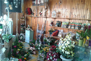 SYL FLEURS