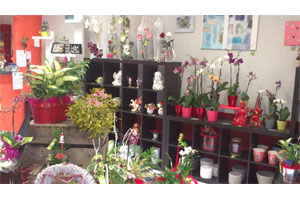 SECRET DES FLEURS