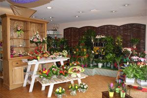 M  LES FLEURS