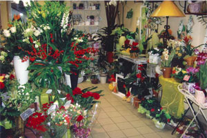 SARL LA BOUQUETIERE