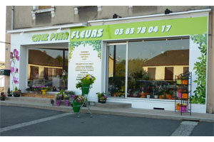 CHEZ PIKA FLEURS              