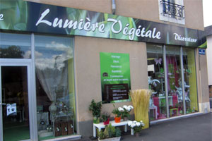 LUMIERE VEGETALE