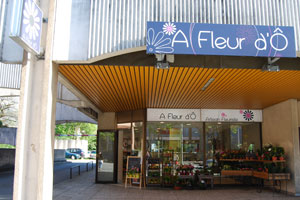 A FLEUR D O                   