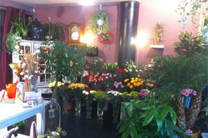 SANDY FLEURS CREATION         