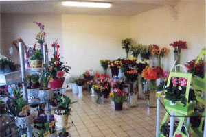 AU PETIT MARCHE FLORAL