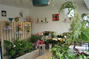 DE FLEURS EN IDEES