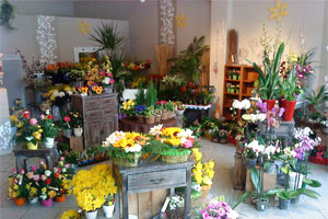 L ILE AUX FLEURS