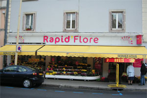 RAPID FLORE