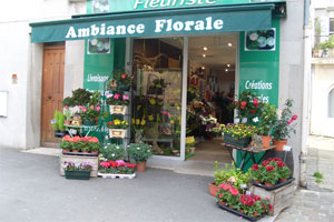 AMBIANCE FLORALE