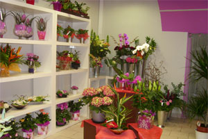 CREATION FLEURS