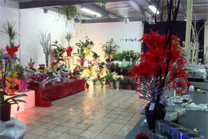 LES JARDINS DE SHYREL