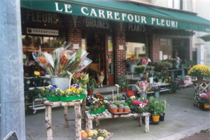 LE CARREFOUR FLEURI DE MELANIE