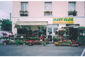 MARY FLOR