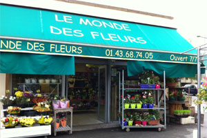 LE MONDE DES FLEURS