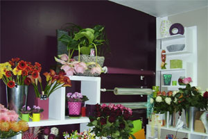MAYA FLEURS                   