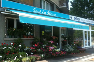 TOUT EN FLEURS