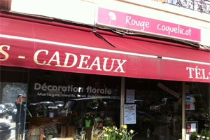 ROUGE COQUELICOT