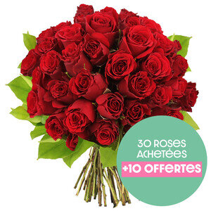 Bouquet de roses 