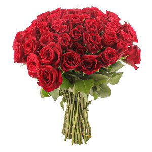 BOUQUET DE 50 ROSES ROUGES