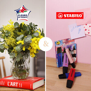 BOUQUET MIMOSA + STABILO