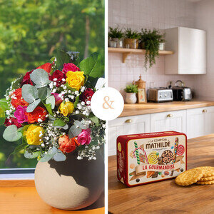 CALISTA XL + BOITE BISCUITS