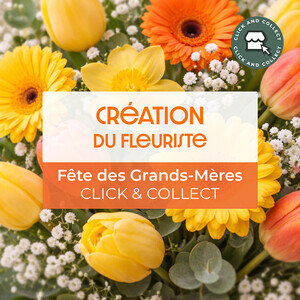 CREATION CLICK AND COLLECT