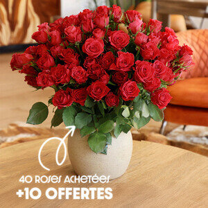 50 ROSES ROUGES